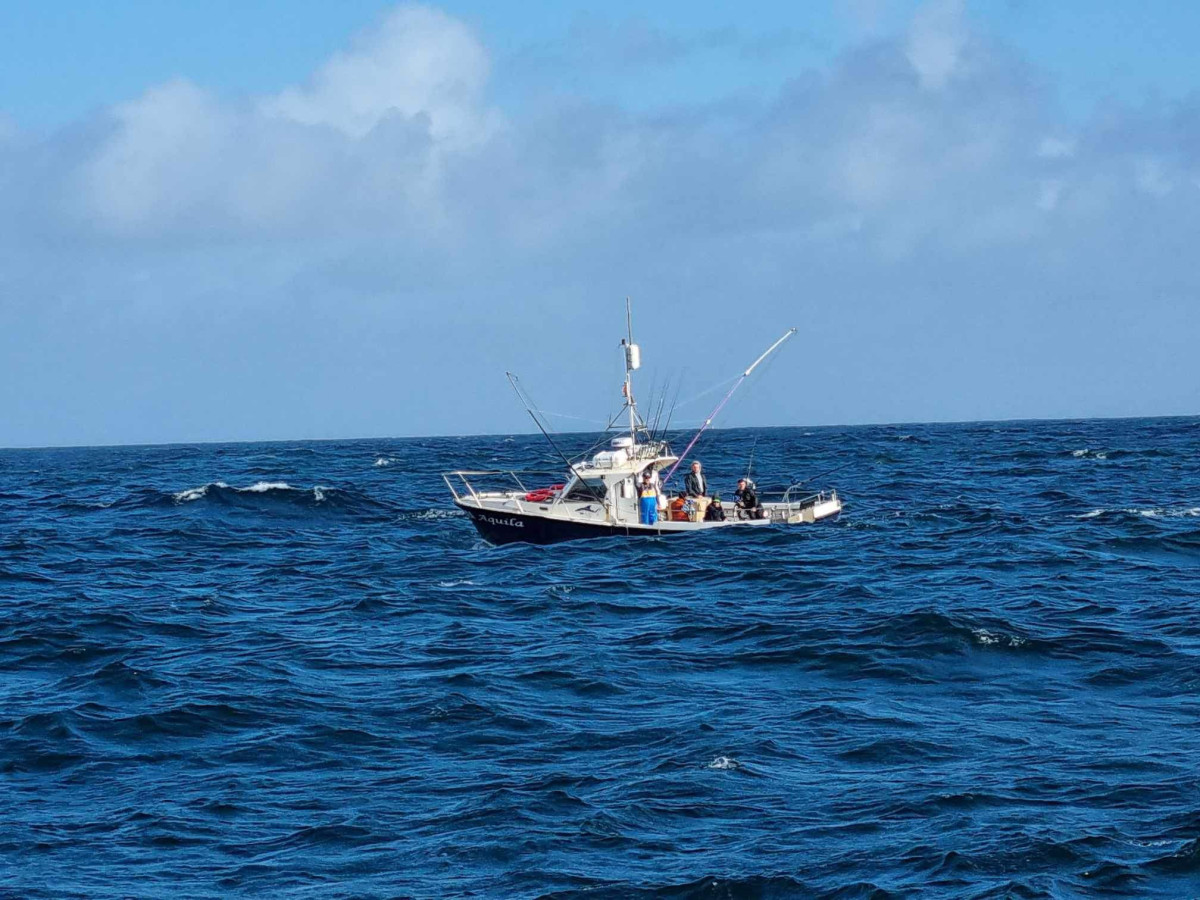 Blue Fin Tuna | South West Handline Fishermen's Association